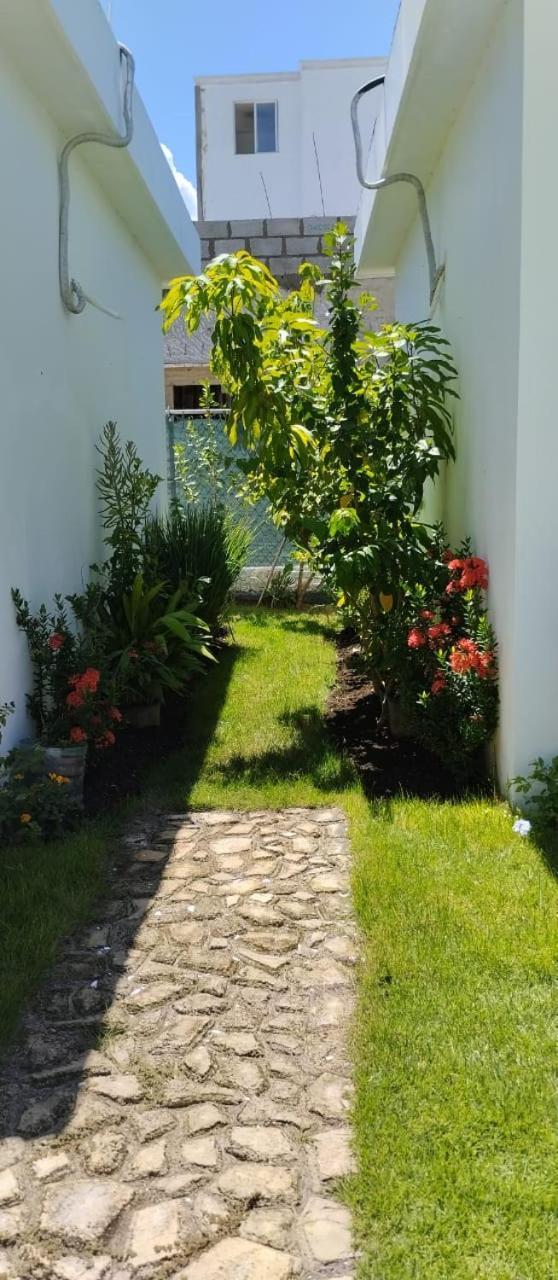 Casa Merengue Las Terrenas Eksteriør billede